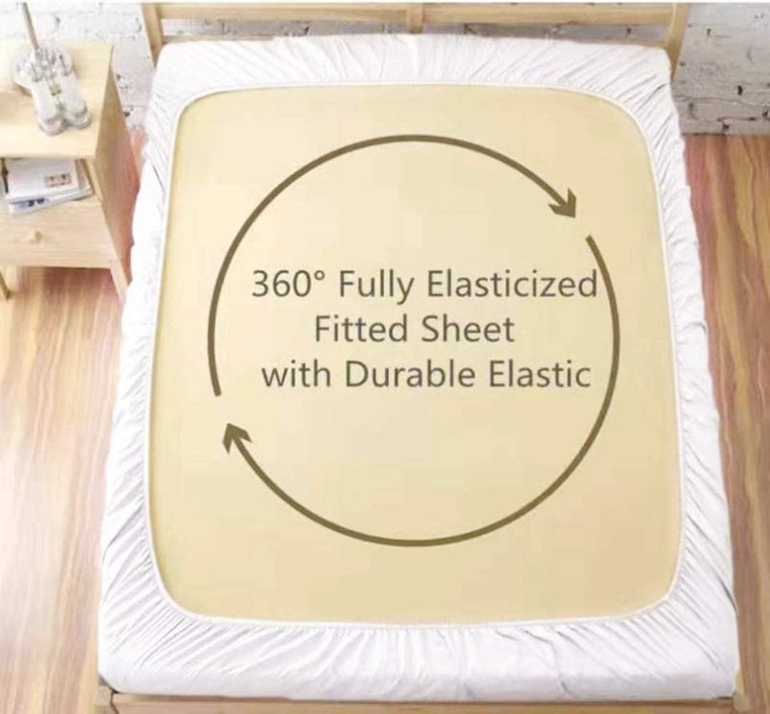 Finding Nimo Queen Size Bedsheet With 2 Pillow Cover