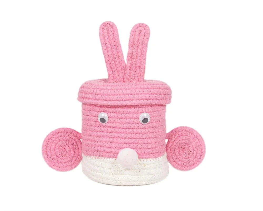 Super Cute Basket Woven With Cotton Rope