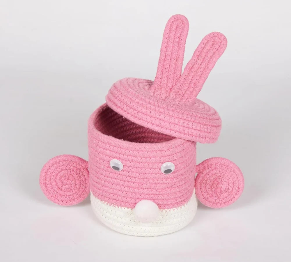 Super Cute Basket Woven With Cotton Rope